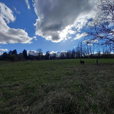 Les Hauts De Meez Dinant Bagian luar foto