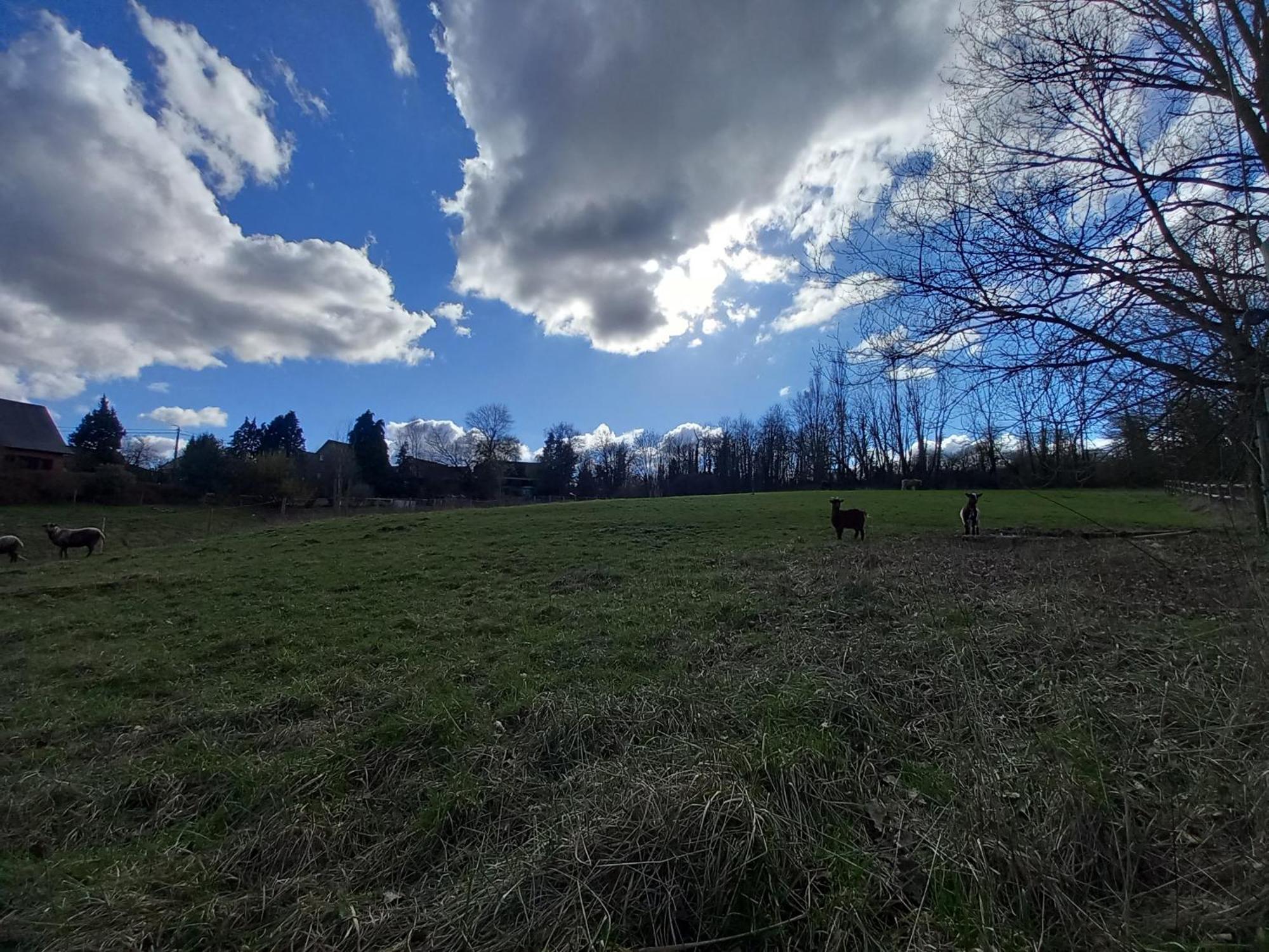 Les Hauts De Meez Dinant Bagian luar foto