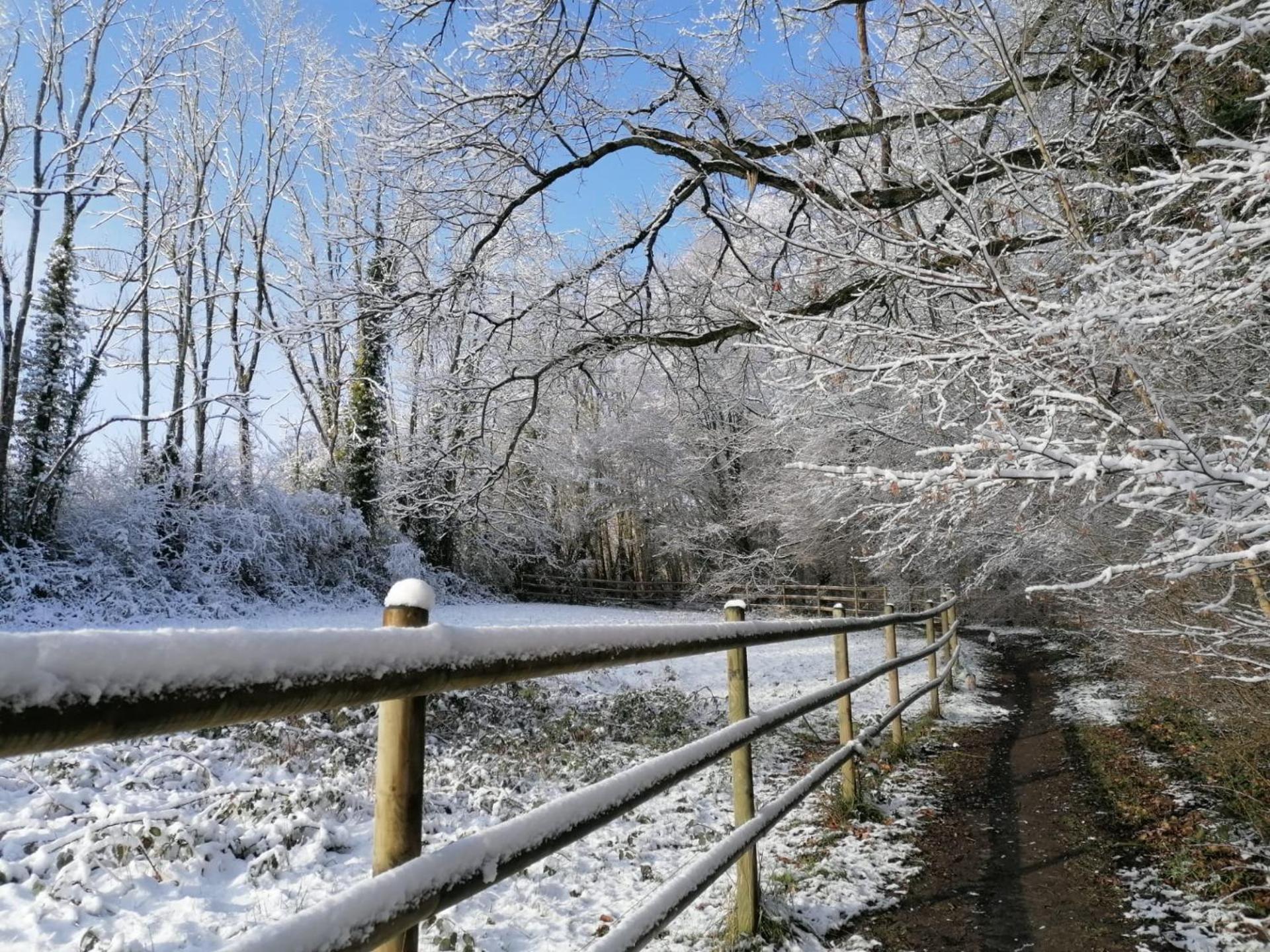 Les Hauts De Meez Dinant Bagian luar foto